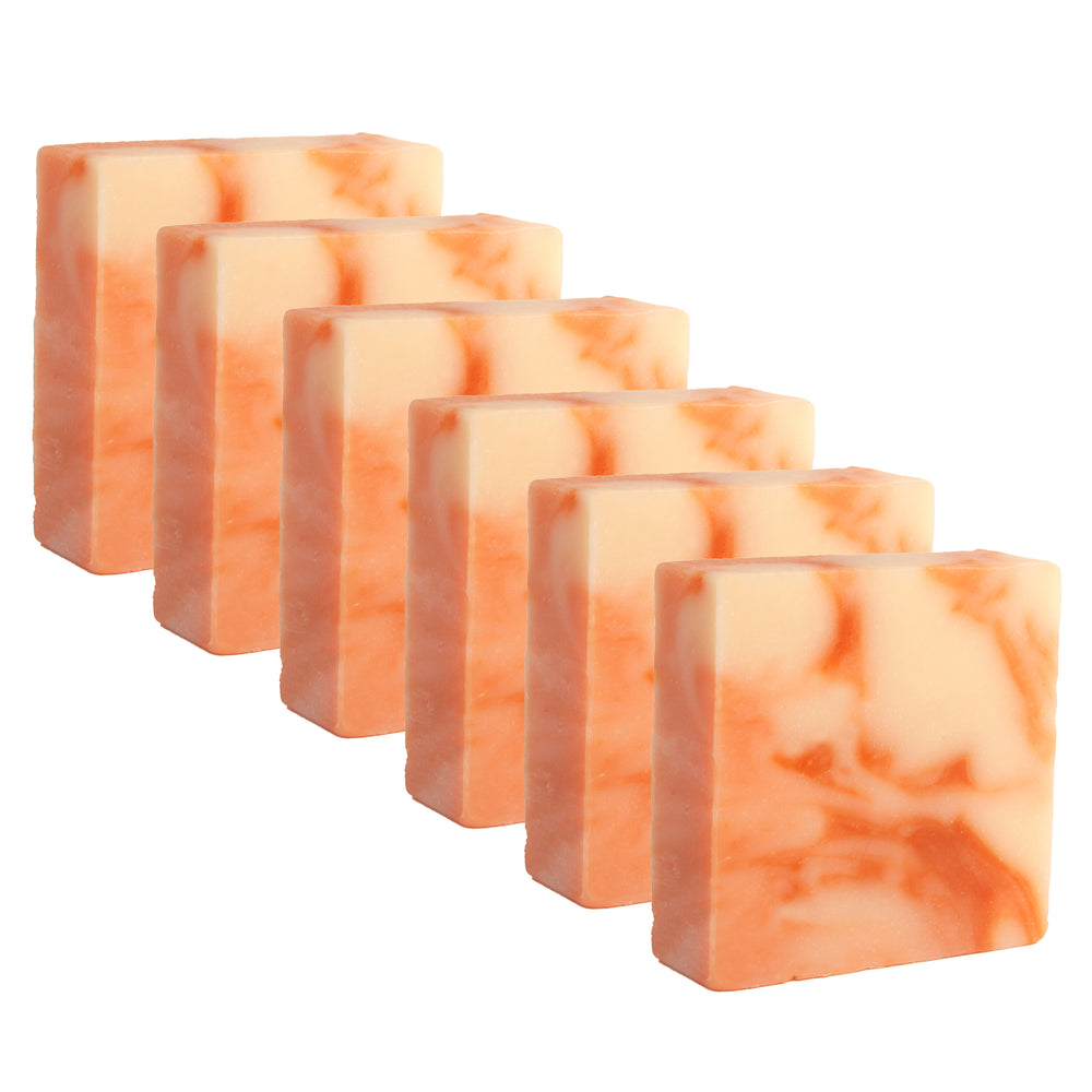 
                      
                        Majestic Lather Citrus Handmade Bar Soap Close Up 6 Bars
                      
                    